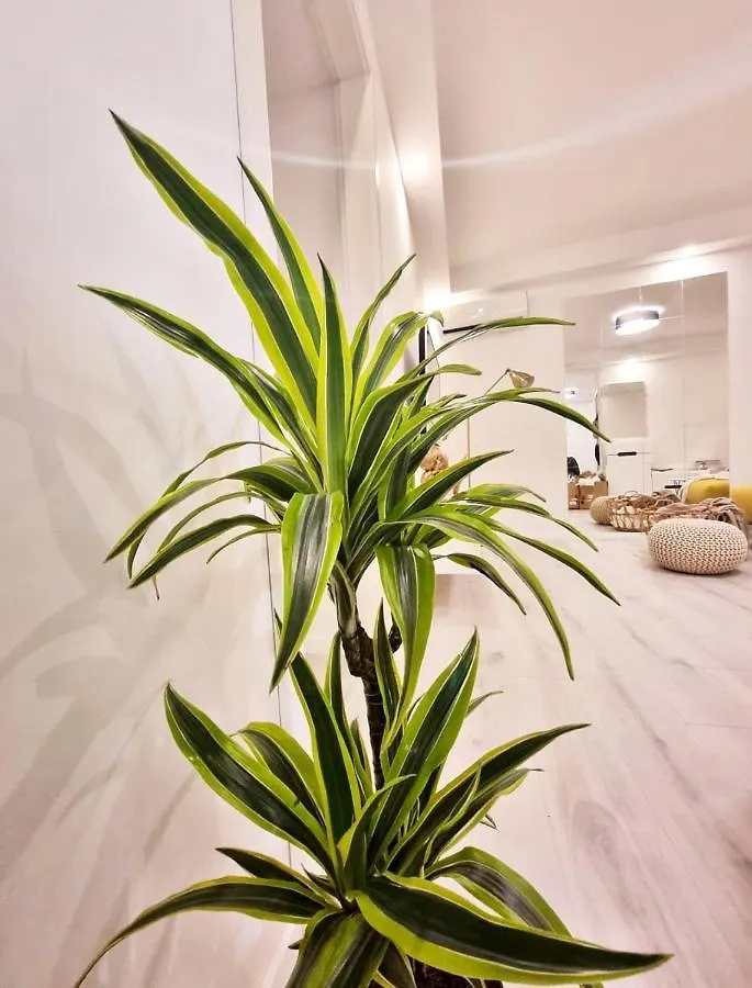 Un Ami Apartment Pula Croatia